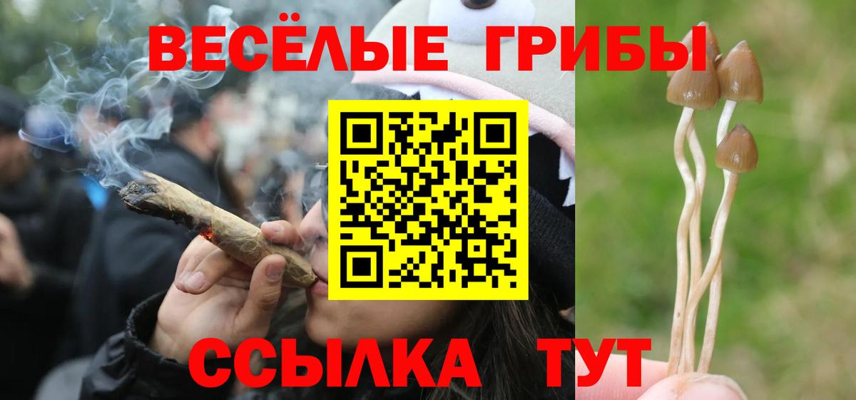Псилоцибиновые грибы Psilocybe  Галлюциногенные грибы Psilocybe  Петрозаводск  Вход с VPN 